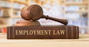 Employment Law Attorney