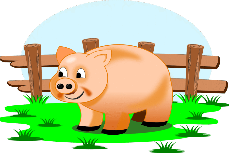 Common Home Insurance Exclusions You Should Know About